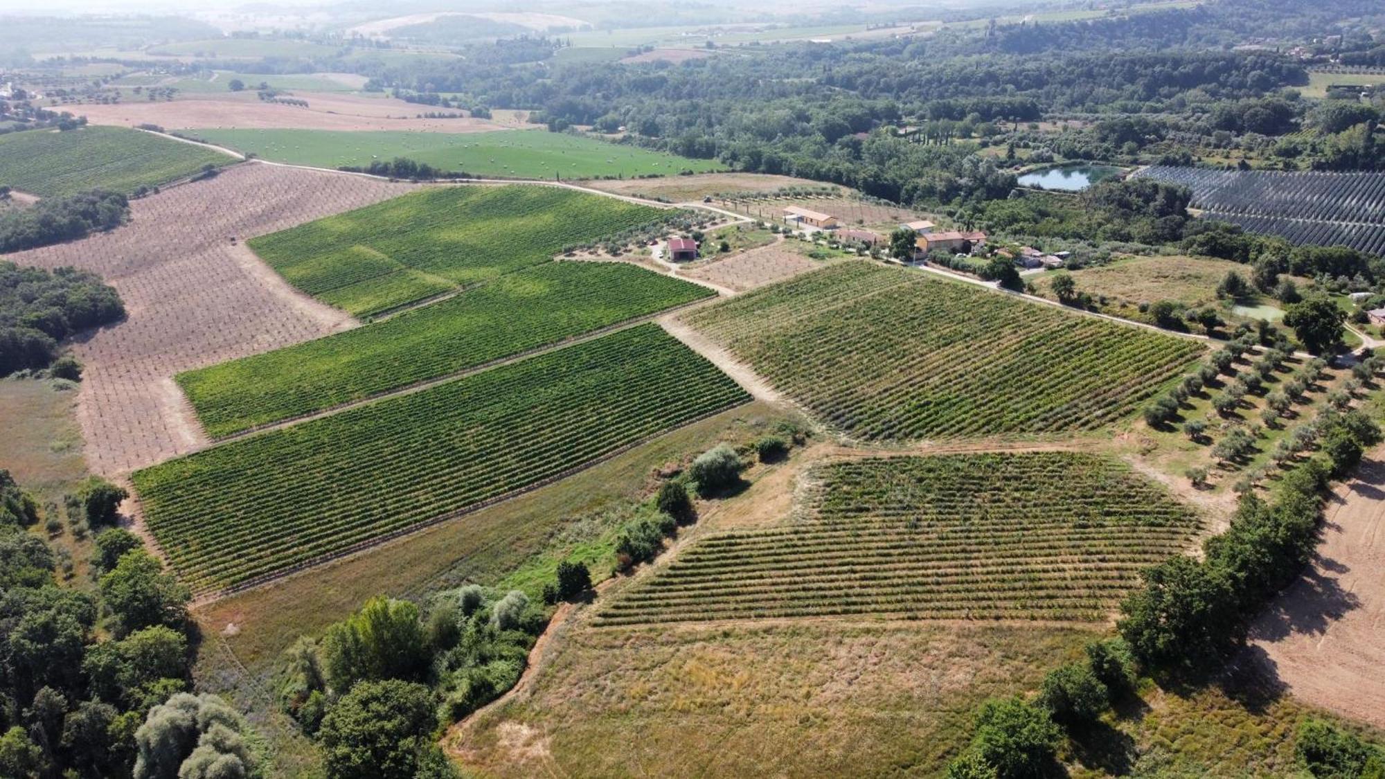 Agriturismo Podere Casa Al Vento Монтепульчано Екстер'єр фото