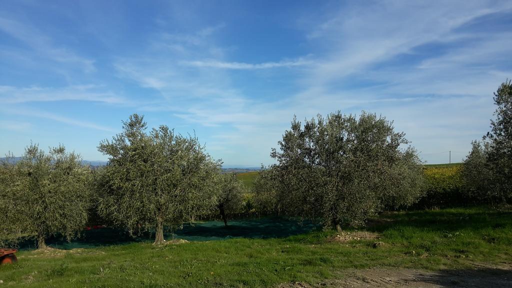 Agriturismo Podere Casa Al Vento Монтепульчано Екстер'єр фото