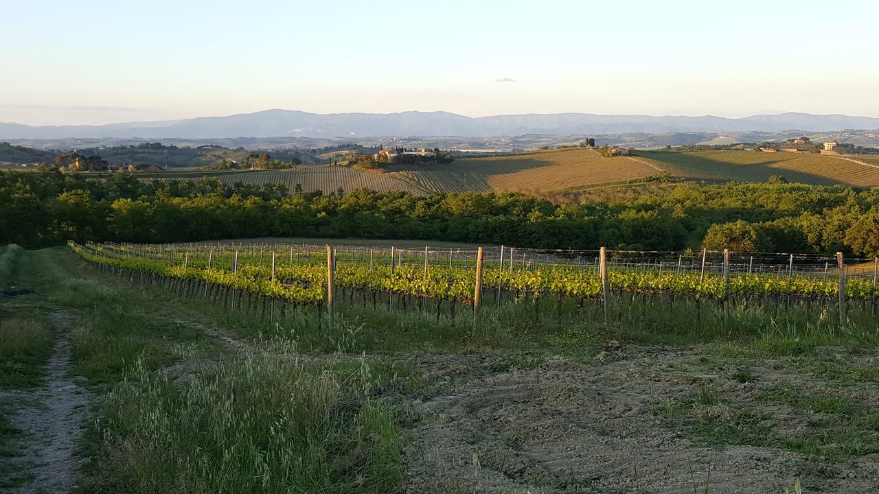 Agriturismo Podere Casa Al Vento Монтепульчано Екстер'єр фото